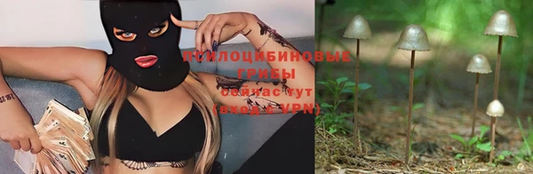 крисы Козловка