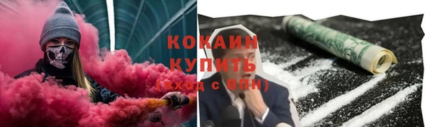 крисы Козловка