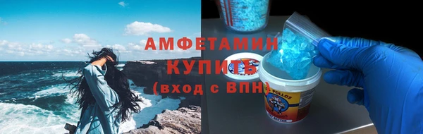 крисы Козловка