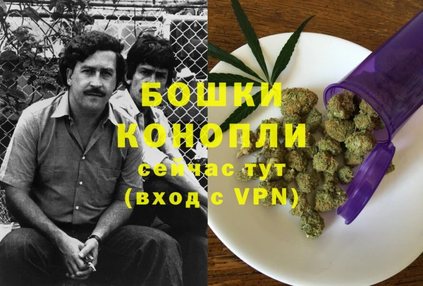 крисы Козловка