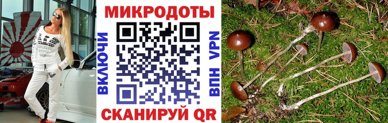 Псилоцибиновые грибы Cubensis  Купить  Дедовск 